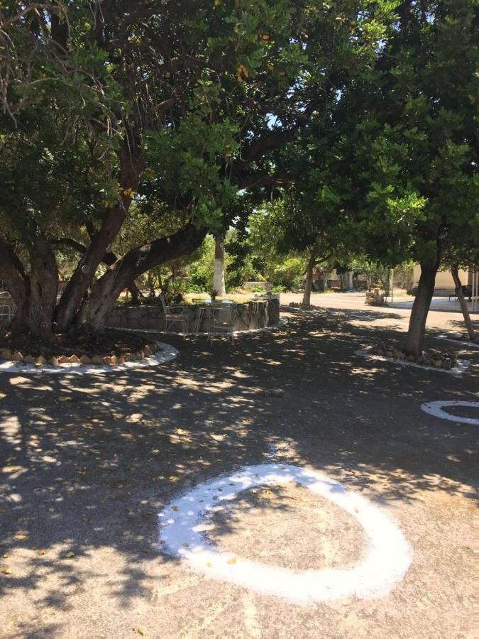 Хостел Αγρόκτημα Χελωναριά - Agroktima Chelonaria Храни Экстерьер фото